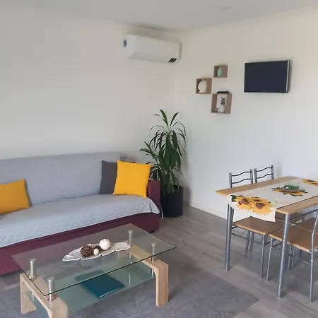 Impeccable 1 Bed In * Ribeira Grande